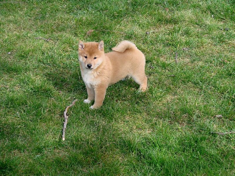 Foto: KIMIKO
